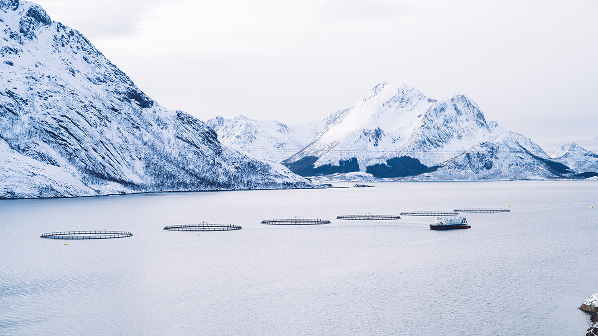 Offshore Fish Farm in Winter Conditions Offshore Fish Farm in Winter Conditions