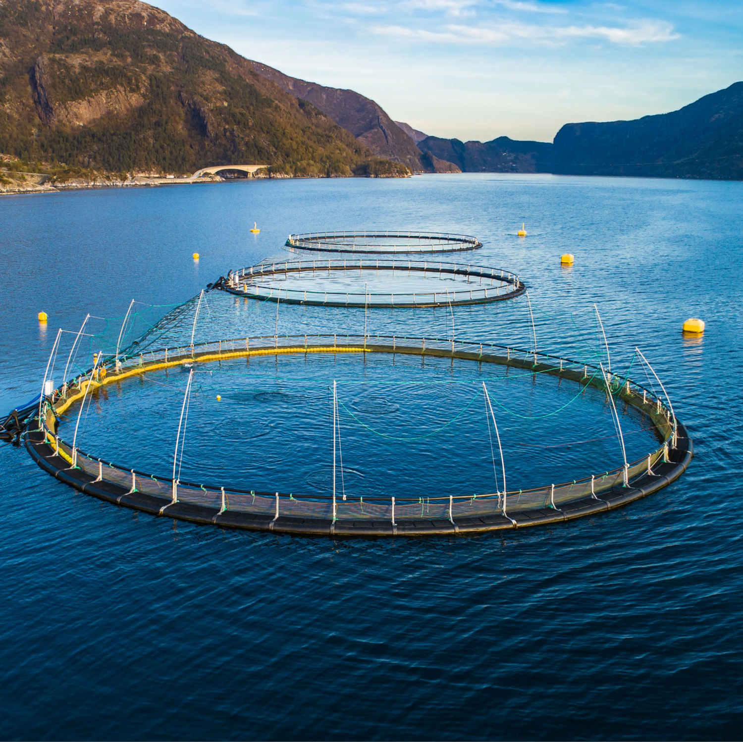 fish-farm-in-norway